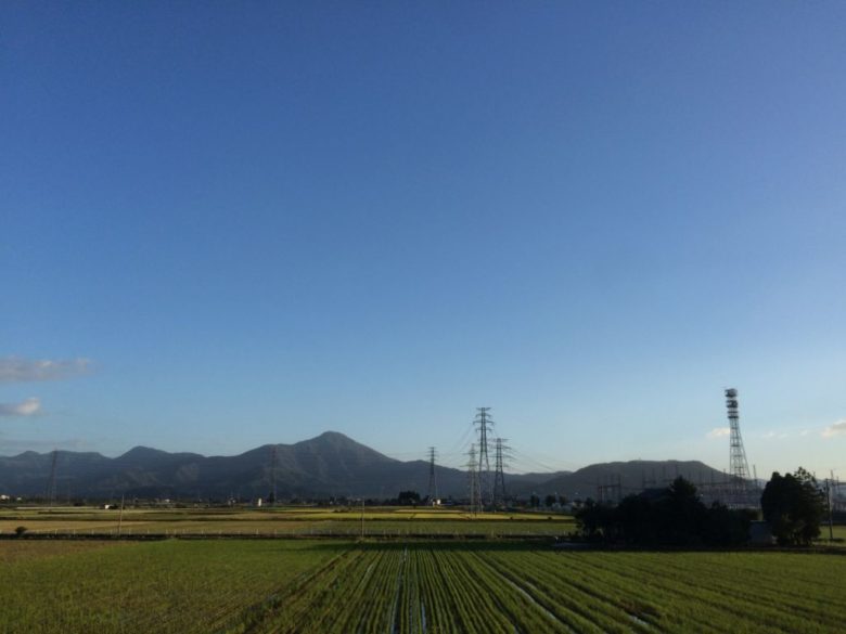 東大に入ればなんでもできると思っていたかつての私に向けてのサムネイル