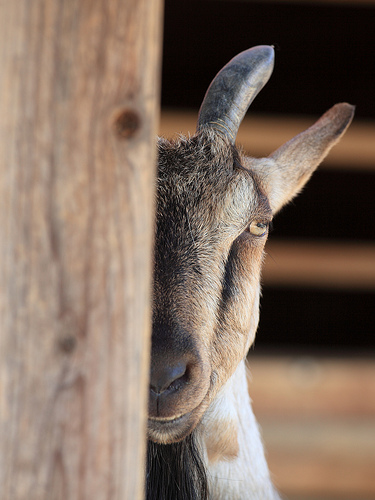 編集部より vol.7　東大生よ、「変態」であれのサムネ  イル