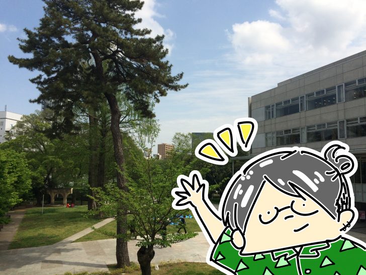 【逆・留学記】サンダル一足で台湾から東大にやってきました【言葉の壁をぶち壊せ！】