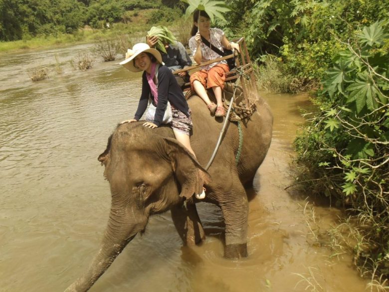 進路に迷える東大女子が就職やめて象使いになろうかと思った話