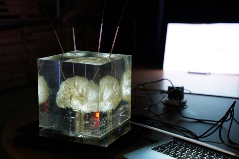 【もし人間の感情を操作できたら？】テクノロジーの当たり前をぶっ壊す東大制作展に潜入してきました！のサムネイル