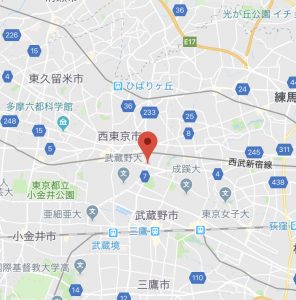 グーグルマップ