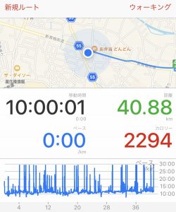 グーグルマップ