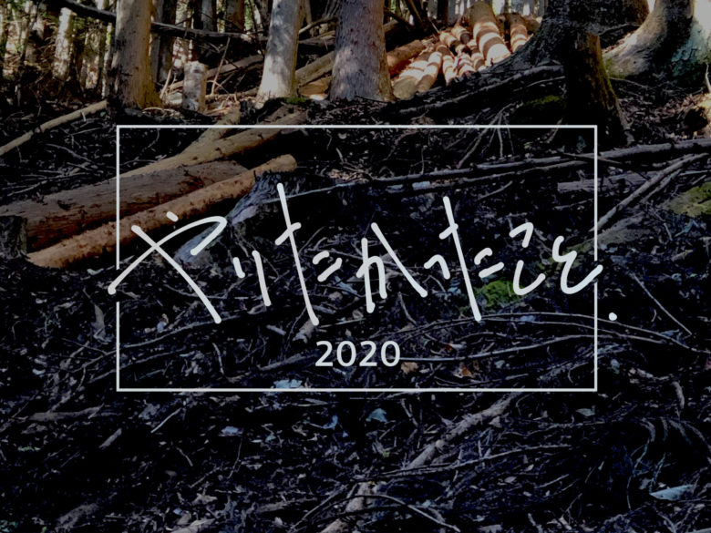 遠ざかったフィールド【やりたかったこと2020】