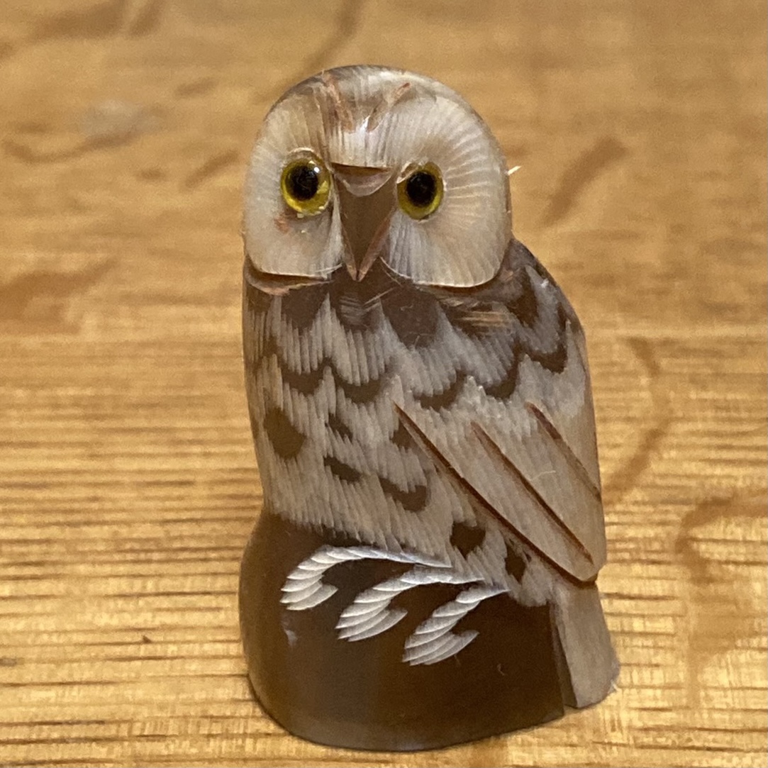 匿名希望
/現役時から6年
宅浪