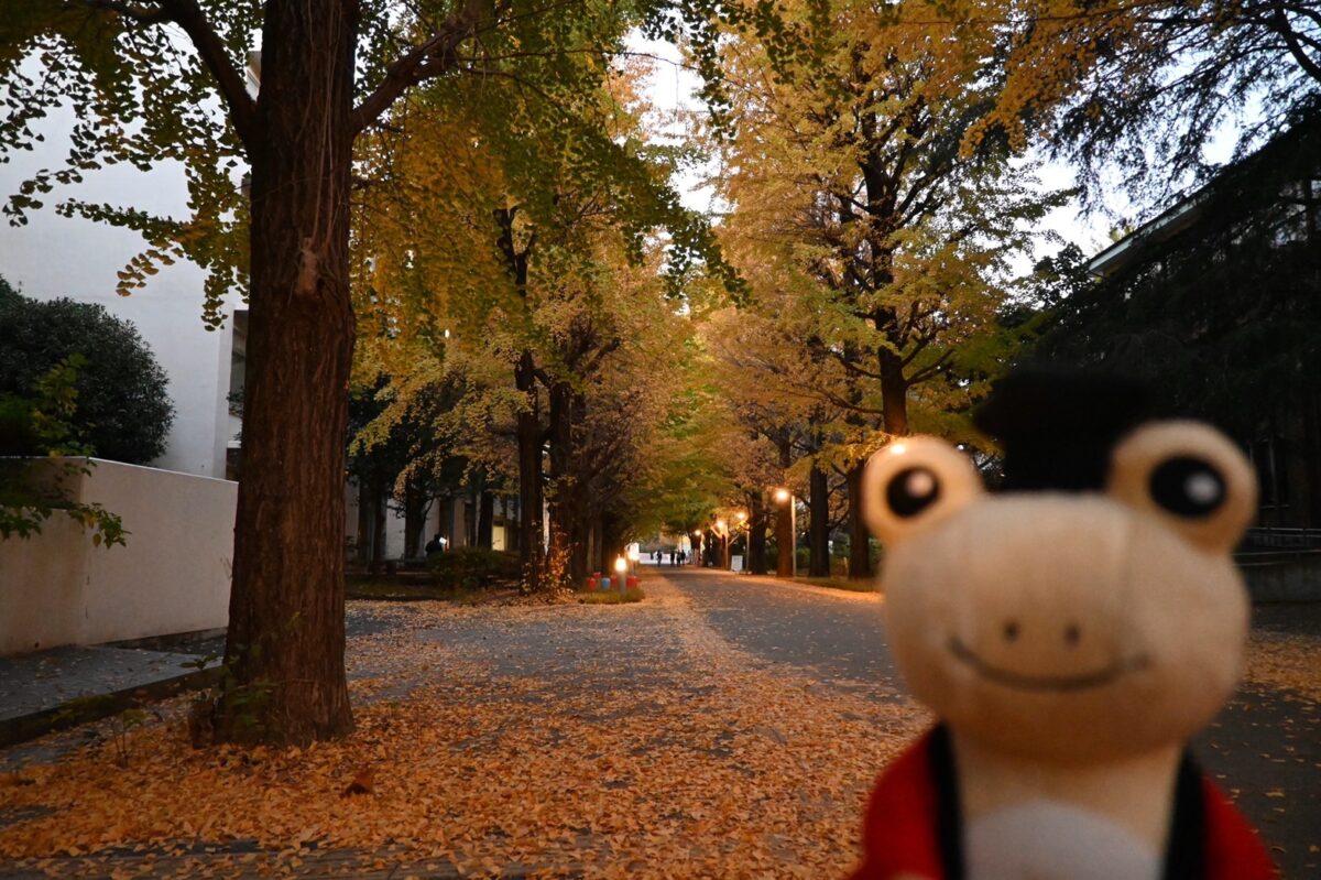 オンラインの祭りに何を思う【エッセイ・コロナ禍の大学を生きる】