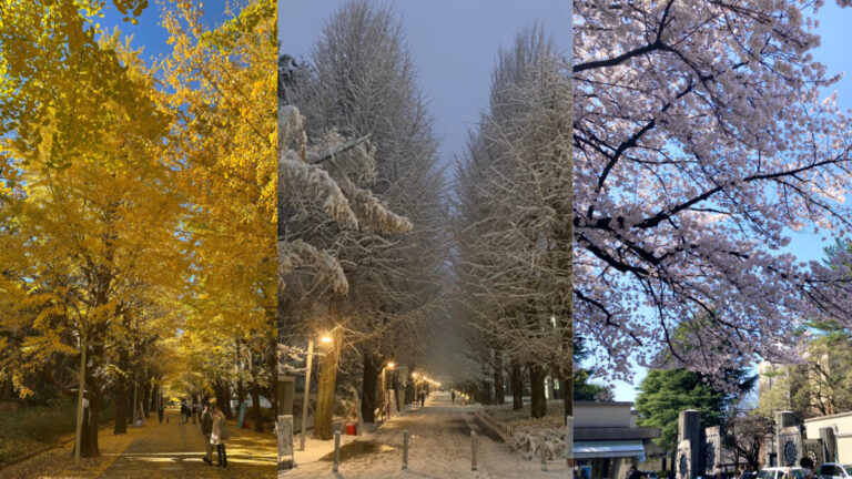 卒業に寄せて【エッセイ・コロナ禍の大学を生きる】