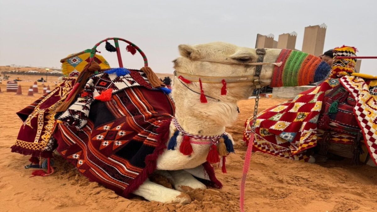 帰国しても部屋は「サウジアラビア」──体験活動プログラム体験記のサムネイル