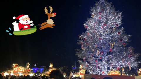 【クリスマスも授業がある君へ】空きコマだけで楽しみ尽くすクリスマス【タイパ重視】